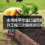 永河线平交道口道路提升工程二次招标进行中,最新信息来了(图2) 永河线平交道口道路提升工程二次招标进行中,最新信息来了(图2)