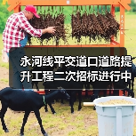 永河线平交道口道路提升工程二次招标进行中,最新信息来了(图3) 永河线平交道口道路提升工程二次招标进行中,最新信息来了(图3)