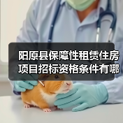 阳原县保障性租赁住房项目招标资格条件有哪些? 阳原县保障性租赁住房项目招标资格条件有哪些?