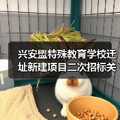 兴安盟特殊教育学校迁址新建项目二次招标关键信息(图2) 兴安盟特殊教育学校迁址新建项目二次招标关键信息(图2)