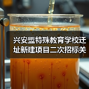 兴安盟特殊教育学校迁址新建项目二次招标关键信息(图3) 兴安盟特殊教育学校迁址新建项目二次招标关键信息(图3)