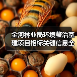 金河林业局环境整治基建项目招标关键信息全解析(图2) 金河林业局环境整治基建项目招标关键信息全解析(图2)
