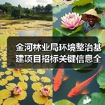 金河林业局环境整治基建项目招标关键信息全解析 金河林业局环境整治基建项目招标关键信息全解析
