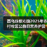 西乌珠穆沁旗2025年农村牧区公路日常养护及水毁工程招标启动!两大标段公开邀标 西乌珠穆沁旗2025年农村牧区公路日常养护及水毁工程招标启动!两大标段公开邀标