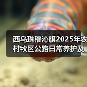 西乌珠穆沁旗2025年农村牧区公路日常养护及水毁工程招标启动!两大标段公开邀标(图3) 西乌珠穆沁旗2025年农村牧区公路日常养护及水毁工程招标启动!两大标段公开邀标(图3)