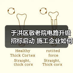 于洪区敬老院电路升级招标启动 施工企业如何参与？（图4）