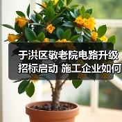 于洪区敬老院电路升级招标启动 施工企业如何参与？（图3）