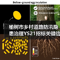 榆树市乡村道路防汛隐患治理YS21招标关键信息有哪些? 榆树市乡村道路防汛隐患治理YS21招标关键信息有哪些?