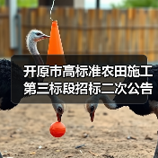 开原市高标准农田施工第三标段招标二次公告 开原市高标准农田施工第三标段招标二次公告