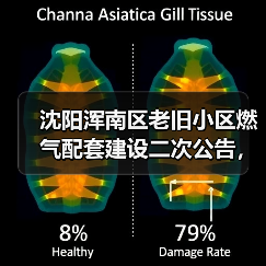 沈阳浑南区老旧小区燃气配套建设二次公告,37小区2.2万用户受益(图2) 沈阳浑南区老旧小区燃气配套建设二次公告,37小区2.2万用户受益(图2)