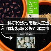 科尔沁沙地南缘人工造林招标怎么投?北票市治理0.2万亩项目启动 科尔沁沙地南缘人工造林招标怎么投?北票市治理0.2万亩项目启动