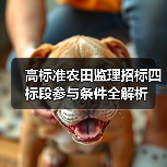 高标准农田监理招标四标段参与条件全解析 高标准农田监理招标四标段参与条件全解析
