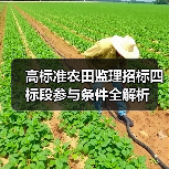高标准农田监理招标四标段参与条件全解析(图2) 高标准农田监理招标四标段参与条件全解析(图2)