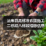 法库县高标准农田施工二标段八标段招标信息解读(图4) 法库县高标准农田施工二标段八标段招标信息解读(图4)