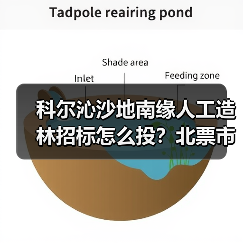 科尔沁沙地南缘人工造林招标怎么投?北票市治理0.2万亩项目启动(图3) 科尔沁沙地南缘人工造林招标怎么投?北票市治理0.2万亩项目启动(图3)