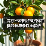 高标准农田监理招标四标段参与条件全解析(图4) 高标准农田监理招标四标段参与条件全解析(图4)