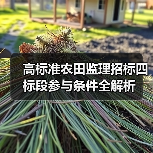 高标准农田监理招标四标段参与条件全解析(图3) 高标准农田监理招标四标段参与条件全解析(图3)