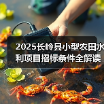 2025长岭县小型农田水利项目招标条件全解读 2025长岭县小型农田水利项目招标条件全解读