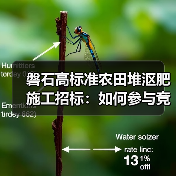磐石高标准农田堆沤肥施工招标:如何参与竞标?(图3) 磐石高标准农田堆沤肥施工招标:如何参与竞标?(图3)