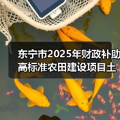 东宁市2025年财政补助高标准农田建设项目土壤改良服务（图3）