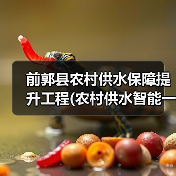 前郭县农村供水保障提升工程(农村供水智能一体化平台)(二期)(图2) 前郭县农村供水保障提升工程(农村供水智能一体化平台)(二期)(图2)
