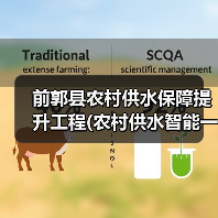 前郭县农村供水保障提升工程(农村供水智能一体化平台)(二期)(图3) 前郭县农村供水保障提升工程(农村供水智能一体化平台)(二期)(图3)