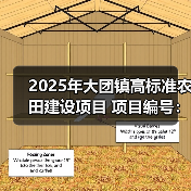 2025年大团镇高标准农田建设项目 项目编号:e3100000151043769002 2025年大团镇高标准农田建设项目 项目编号:e3100000151043769002