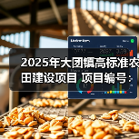 2025年大团镇高标准农田建设项目 项目编号：e3100000151043769002（图2）