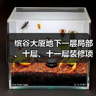 缤谷大厦地下一层局部、十层、十一层装修项目 项目编号:e3100000151044727001(图2) 缤谷大厦地下一层局部、十层、十一层装修项目 项目编号:e3100000151044727001(图2)