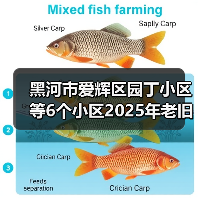 黑河市爱辉区园丁小区等6个小区2025年老旧小区改造基础设施项目EPC工程总承包 黑河市爱辉区园丁小区等6个小区2025年老旧小区改造基础设施项目EPC工程总承包