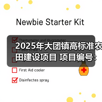 2025年大团镇高标准农田建设项目 项目编号：e3100000151043769002（图3）