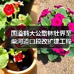 国道鹤大公路林牡界至柴河道口段改扩建工程通讯设施迁移还建工程施工招标A1(图4) 国道鹤大公路林牡界至柴河道口段改扩建工程通讯设施迁移还建工程施工招标A1(图4)