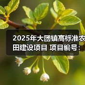 2025年大团镇高标准农田建设项目 项目编号：e3100000151043769002（图4）