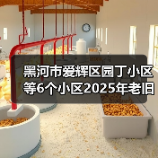 黑河市爱辉区园丁小区等6个小区2025年老旧小区改造基础设施项目EPC工程总承包(图3) 黑河市爱辉区园丁小区等6个小区2025年老旧小区改造基础设施项目EPC工程总承包(图3)