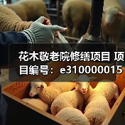 花木敬老院修缮项目 项目编号：e3100000151044729001