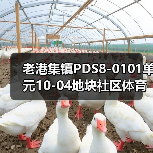 老港集镇PDS8-0101单元10-04地块社区体育中心新建工程 项目编号：e3100000151041508003