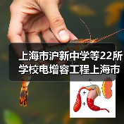 上海市沪新中学等22所学校电增容工程上海市沪新中学等22所学校电增容工程 项目编号:e3100000151044472003(图3) 上海市沪新中学等22所学校电增容工程上海市沪新中学等22所学校电增容工程 项目编号:e3100000151044472003(图3)
