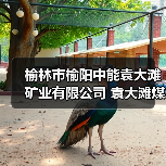 榆林市榆阳中能袁大滩矿业有限公司 袁大滩煤矿快掘工作面超前定向钻探工程 招标编号:0866-25A1SXQY1219 招标公告 榆林市榆阳中能袁大滩矿业有限公司 袁大滩煤矿快掘工作面超前定向钻探工程 招标编号:0866-25A1SXQY1219 招标公告
