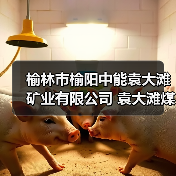 榆林市榆阳中能袁大滩矿业有限公司 袁大滩煤矿快掘工作面超前定向钻探工程 招标编号:0866-25A1SXQY1219 招标公告(图3) 榆林市榆阳中能袁大滩矿业有限公司 袁大滩煤矿快掘工作面超前定向钻探工程 招标编号:0866-25A1SXQY1219 招标公告(图3)
