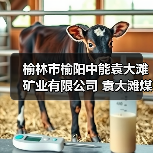榆林市榆阳中能袁大滩矿业有限公司 袁大滩煤矿快掘工作面超前定向钻探工程 招标编号:0866-25A1SXQY1219 招标公告(图4) 榆林市榆阳中能袁大滩矿业有限公司 袁大滩煤矿快掘工作面超前定向钻探工程 招标编号:0866-25A1SXQY1219 招标公告(图4)