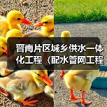 晋南片区城乡供水一体化工程(配水管网工程南英路、草马路段) 晋南片区城乡供水一体化工程(配水管网工程南英路、草马路段)