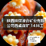 陕西陕煤澄合矿业有限公司西卓煤矿 1436工作面远距离供液设备、配电及管路安装工程 三次招标公告 招标编号:0866-25B1SXQY0713(图3) 陕西陕煤澄合矿业有限公司西卓煤矿 1436工作面远距离供液设备、配电及管路安装工程 三次招标公告 招标编号:0866-25B1SXQY0713(图3)