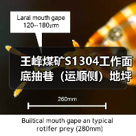 王峰煤矿S1304工作面底抽巷（运顺侧）地坪水沟水仓工程招标公告（图4）