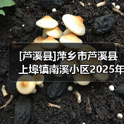 [芦溪县]萍乡市芦溪县上埠镇南溪小区2025年老旧小区改造工程(网)（图2）