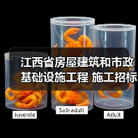 江西省房屋建筑和市政基础设施工程 施工招标公告 江西省房屋建筑和市政基础设施工程 施工招标公告