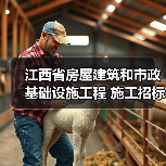 江西省房屋建筑和市政基础设施工程 施工招标公告(图4) 江西省房屋建筑和市政基础设施工程 施工招标公告(图4)