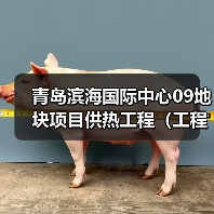 青岛滨海国际中心09地块项目供热工程（工程总承包）招标公告（图1）