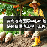 青岛滨海国际中心09地块项目供热工程（工程总承包）招标公告（图2）
