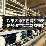 沙市区地下管网系统更新改造工程二期监理服务二标(观音垱镇)沙市区地下管网系统更新改造工程二期监理服务二标(观音垱镇)(JZSH-202510SZ-019001001)招标公告(图2) 沙市区地下管网系统更新改造工程二期监理服务二标(观音垱镇)沙市区地下管网系统更新改造工程二期监理服务二标(观音垱镇)(JZSH-202510SZ-019001001)招标公告(图2)