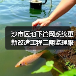 沙市区地下管网系统更新改造工程二期监理服务二标(观音垱镇)沙市区地下管网系统更新改造工程二期监理服务二标(观音垱镇)(JZSH-202510SZ-019001001)招标公告 沙市区地下管网系统更新改造工程二期监理服务二标(观音垱镇)沙市区地下管网系统更新改造工程二期监理服务二标(观音垱镇)(JZSH-202510SZ-019001001)招标公告